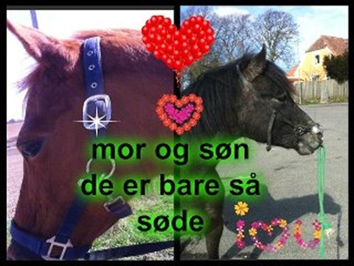 Anden særlig race night lady hele part billede 8