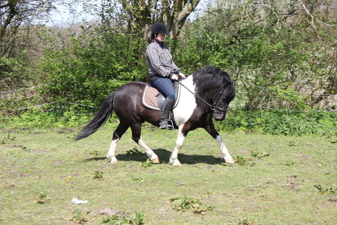 Anden særlig race Spike billede 20
