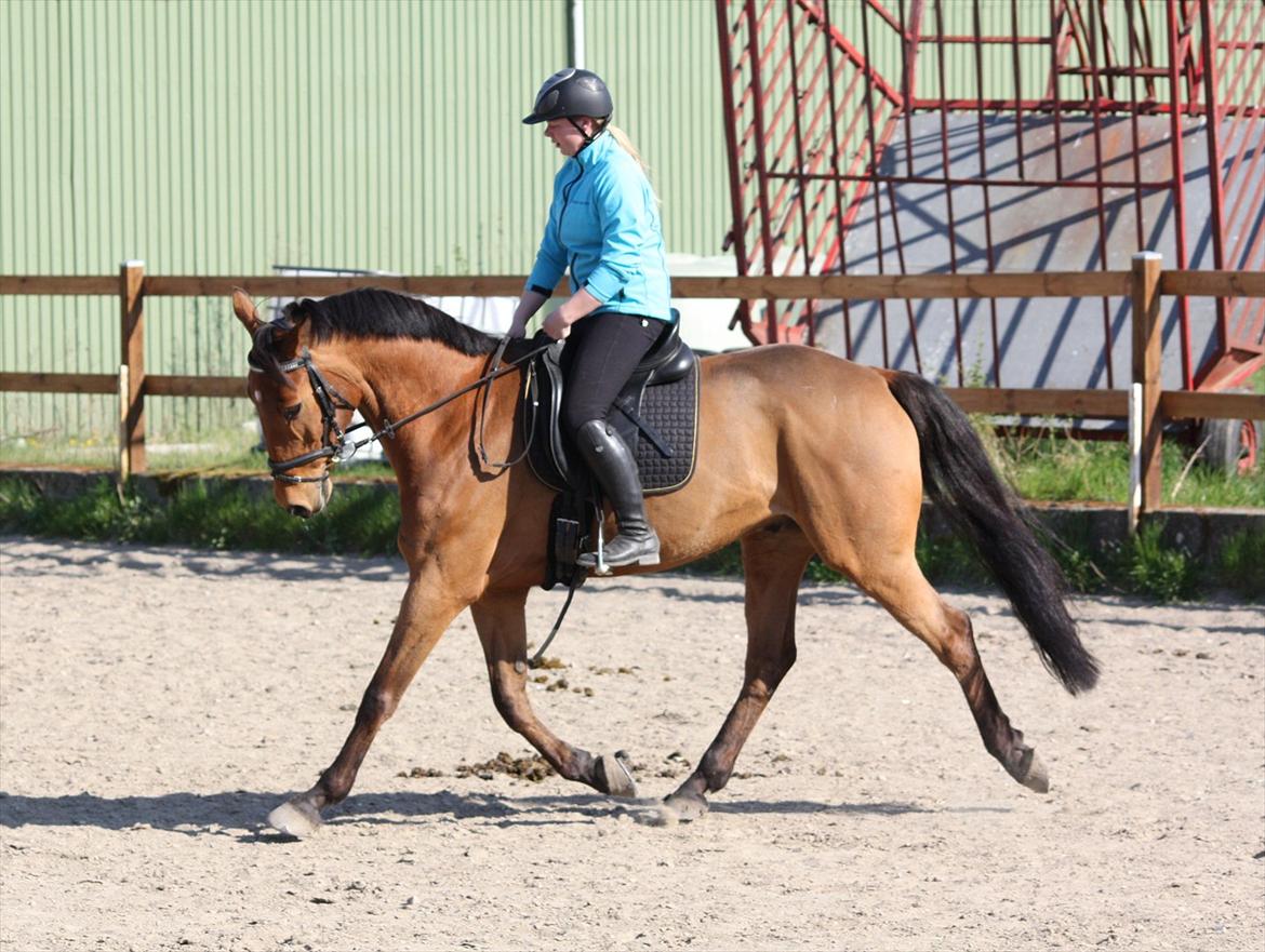 Holstener Chess Mate R.I.P <3 billede 13