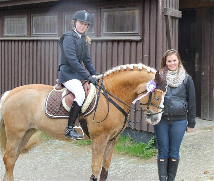 Haflinger Sally - Mit sidste spring stævne på min stjerne! Det gik rigtig godt! 2 fejlfrie runder!
Foto: Far billede 11