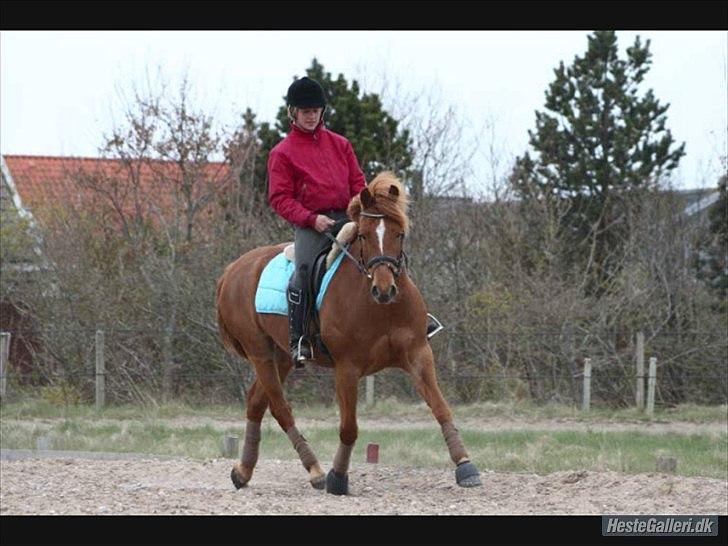Anden særlig race Test Tube Baby RED billede 8