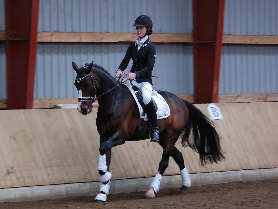 Anden særlig race Kløvermarkens Totti billede 1