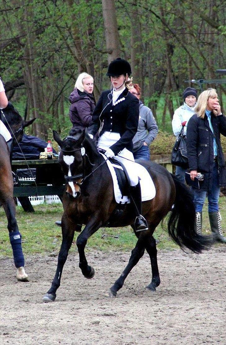 DSP Fontain af Stensnæs billede 13