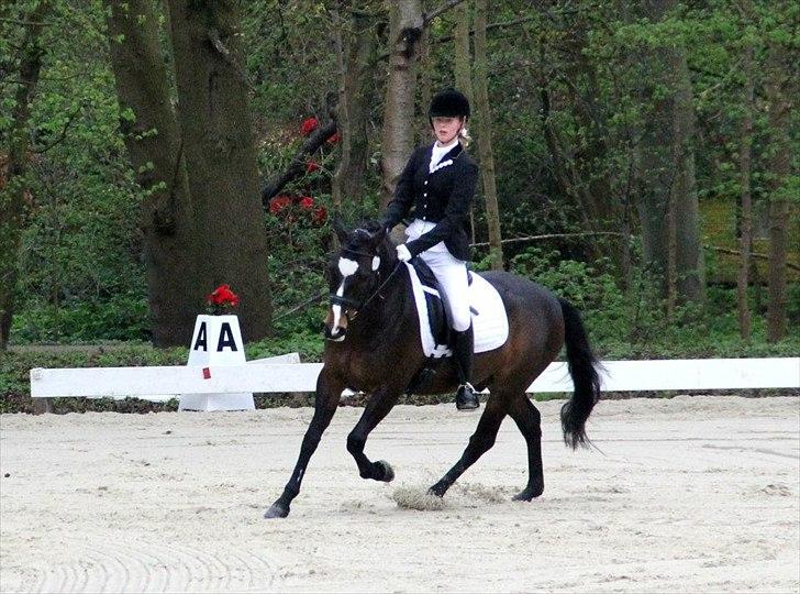 DSP Fontain af Stensnæs billede 16