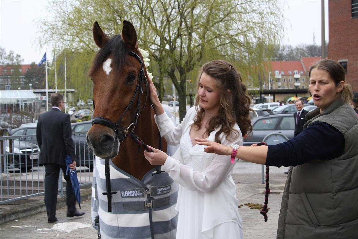 Dansk Varmblod Chico - Konfirmation <3 Chico og jeg udenfor kirken :) billede 14