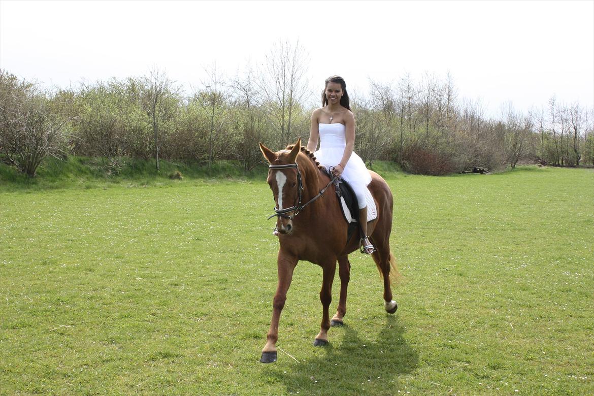 Dansk Varmblod Stedets Leda (Lille Liden) *Min øjesten* - Til min konfirmation! Du var så smuk! Jeg var så glad for at se dig! Det betød så meget for mig, at du var der den dag.
29/4 2012 billede 1