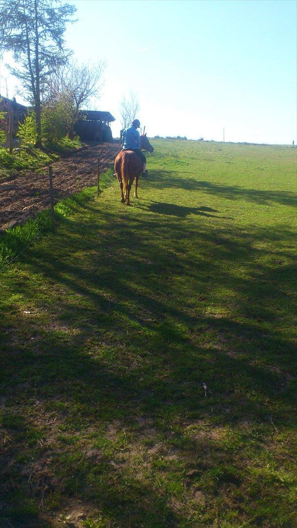 Anden særlig race night lady hele part billede 9