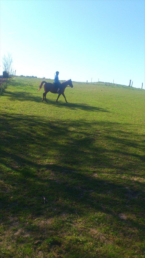 Anden særlig race night lady hele part billede 10