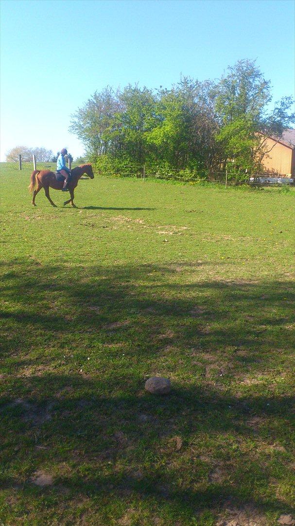 Anden særlig race night lady hele part billede 11