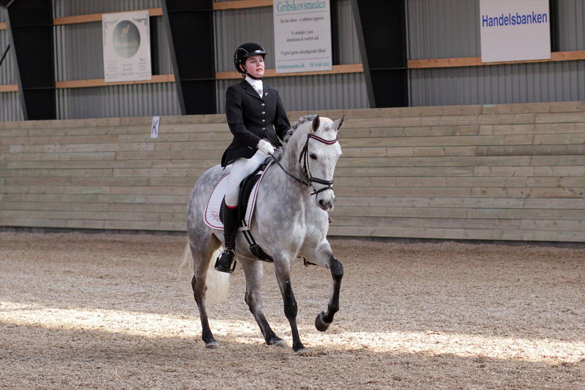 DSP MÅLUND'S MINI-MAJ billede 4