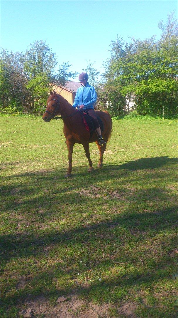 Anden særlig race night lady hele part billede 14