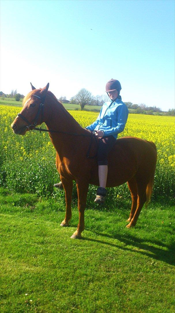 Anden særlig race night lady hele part billede 16