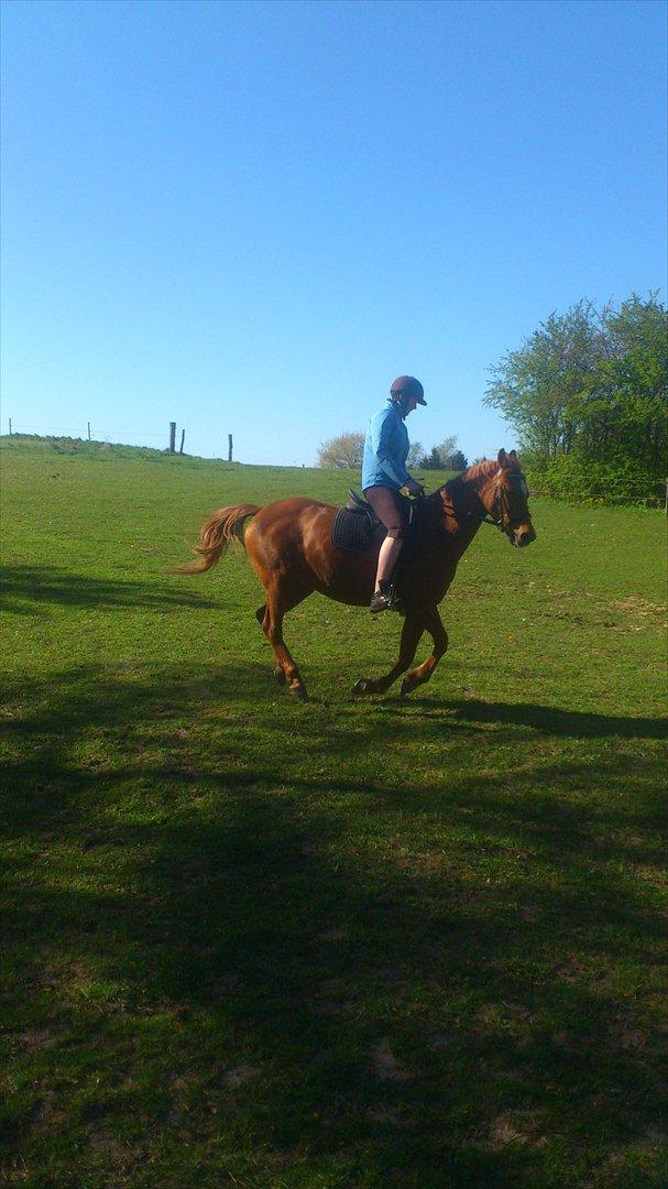 Anden særlig race night lady hele part billede 17