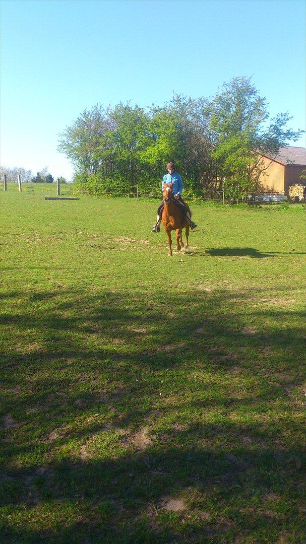 Anden særlig race night lady hele part billede 18