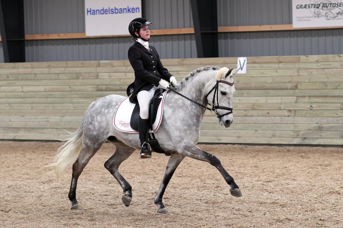 DSP MÅLUND'S MINI-MAJ billede 2