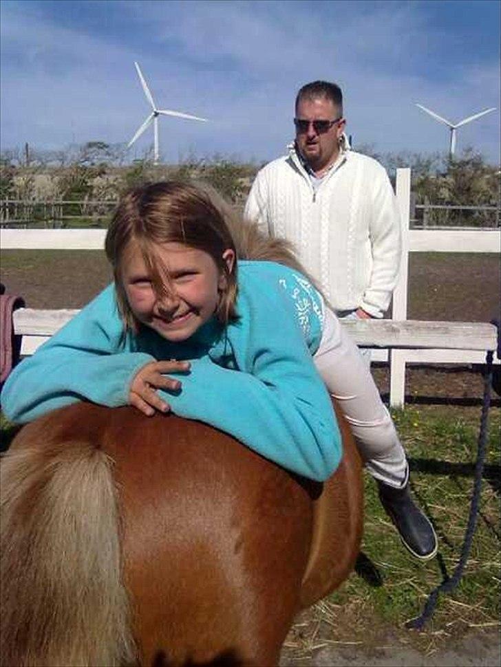 Anden særlig race Oscar (UDLÅNT) billede 1