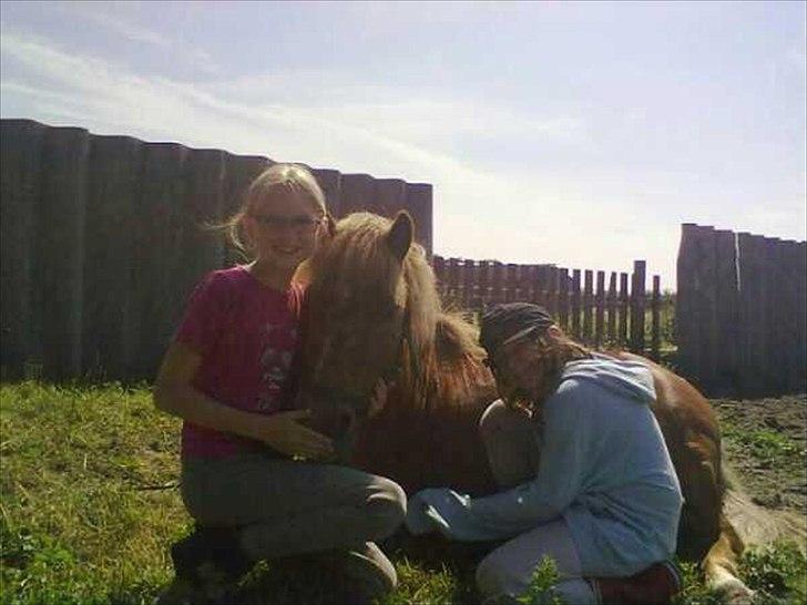 Anden særlig race Oscar (UDLÅNT) billede 2