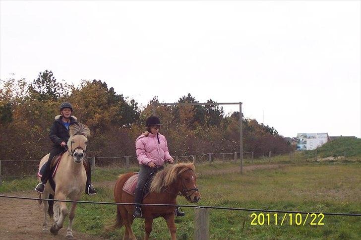 Anden særlig race Oscar (UDLÅNT) billede 8