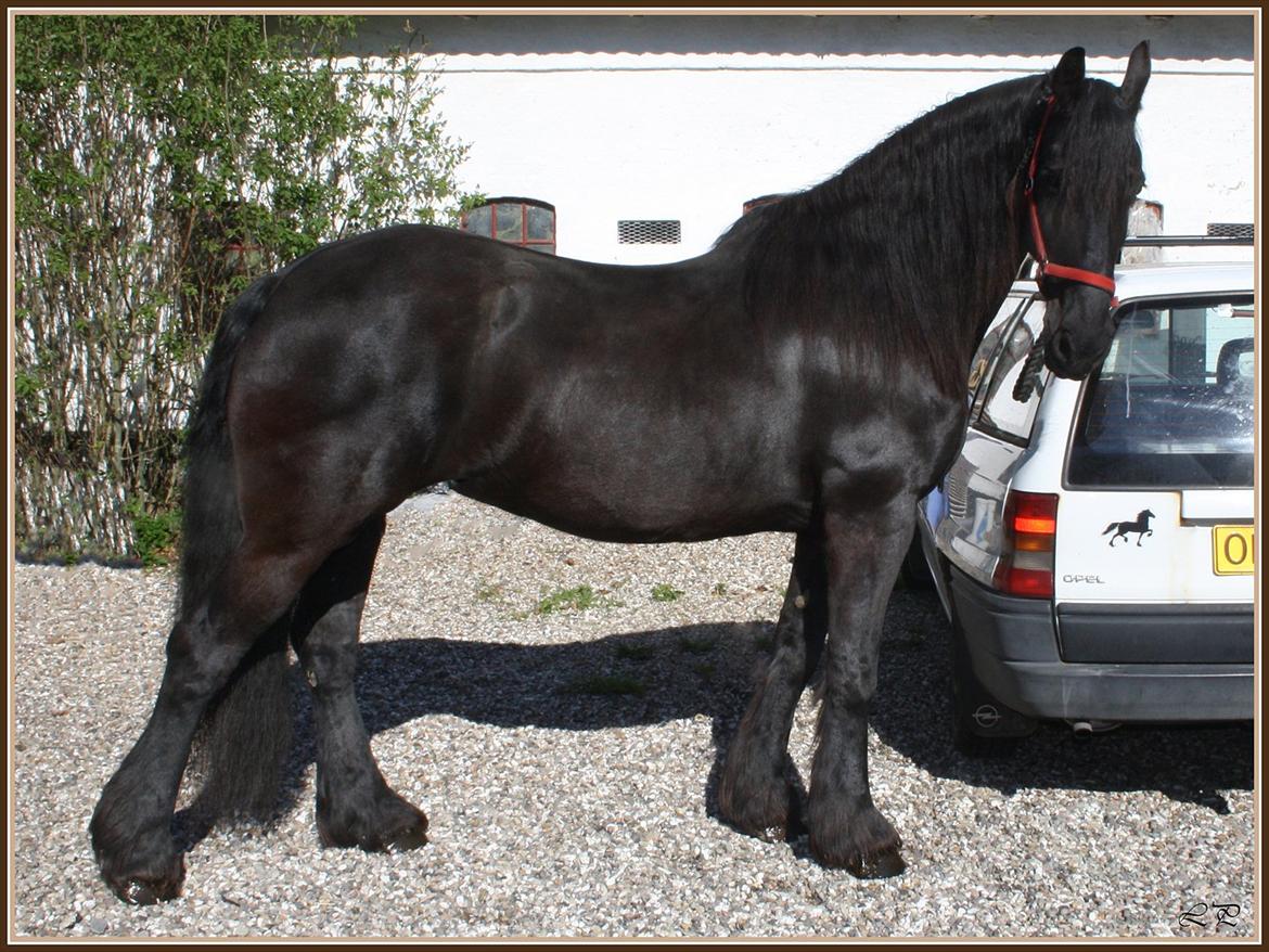 Frieser Sofie af Karmark billede 1