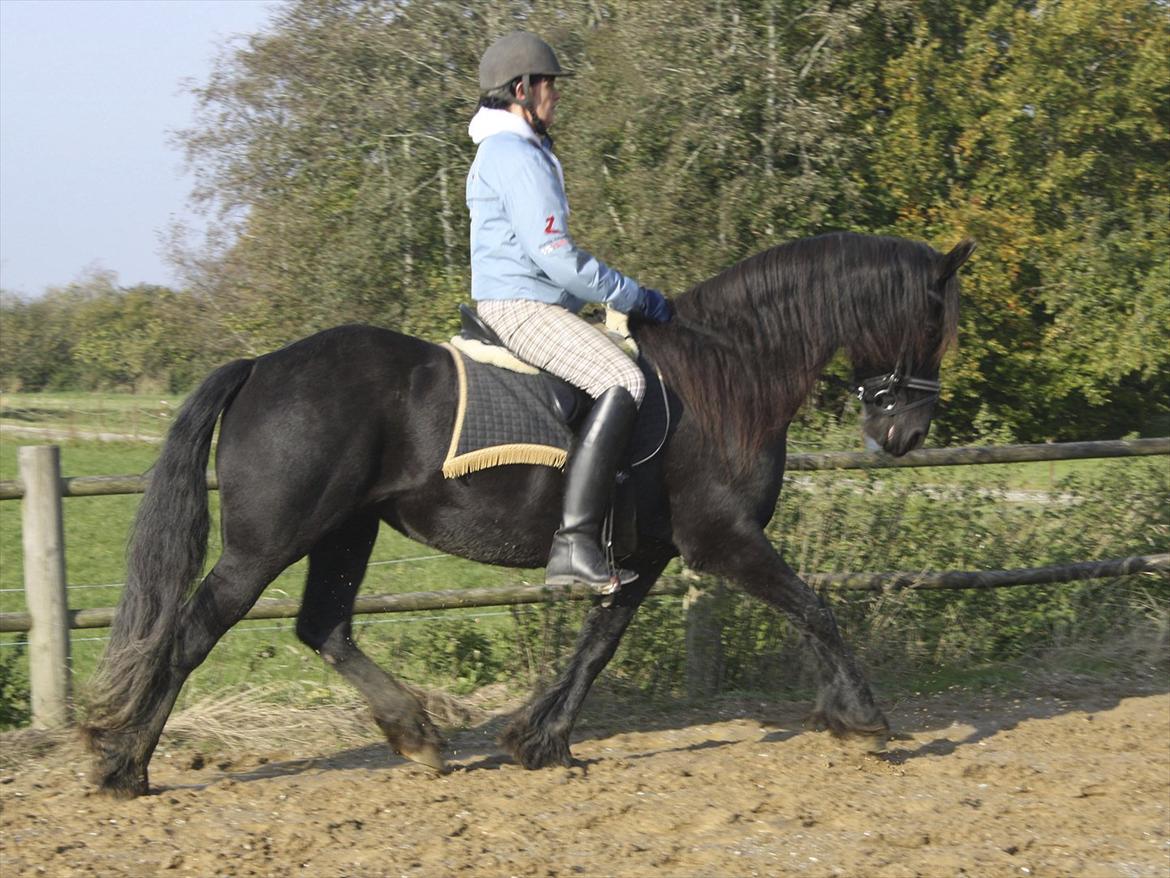 Frieser Sofie af Karmark billede 9