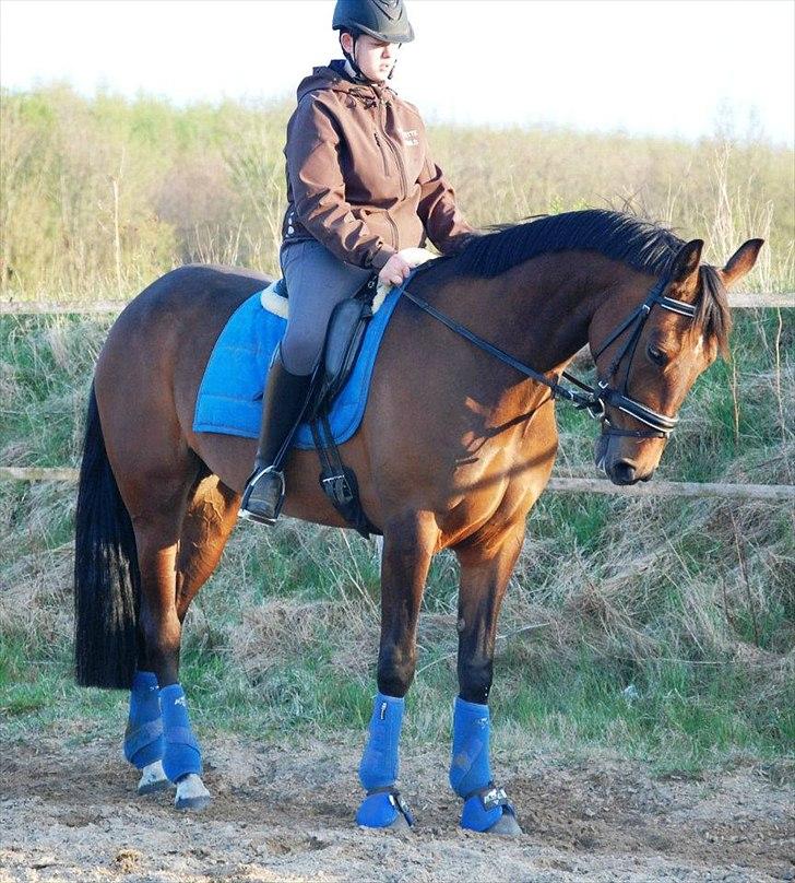 Anden særlig race First Edition billede 4