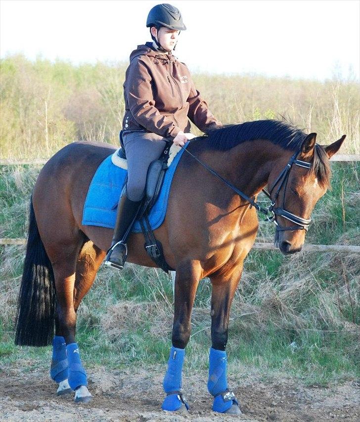 Anden særlig race First Edition billede 5