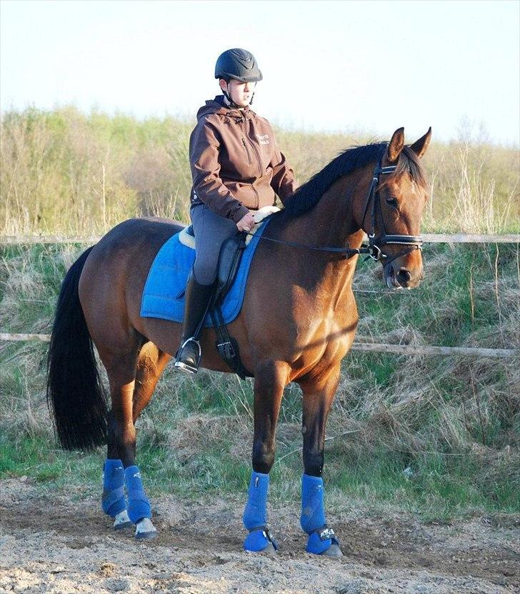 Anden særlig race First Edition billede 6