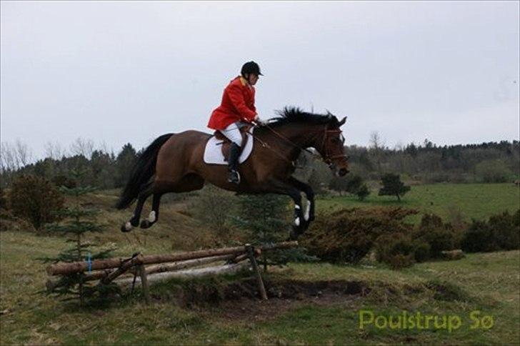 Dansk Varmblod Zaro R.I.P <3 - Til jagt med Christina.. Dyb landing :) billede 5