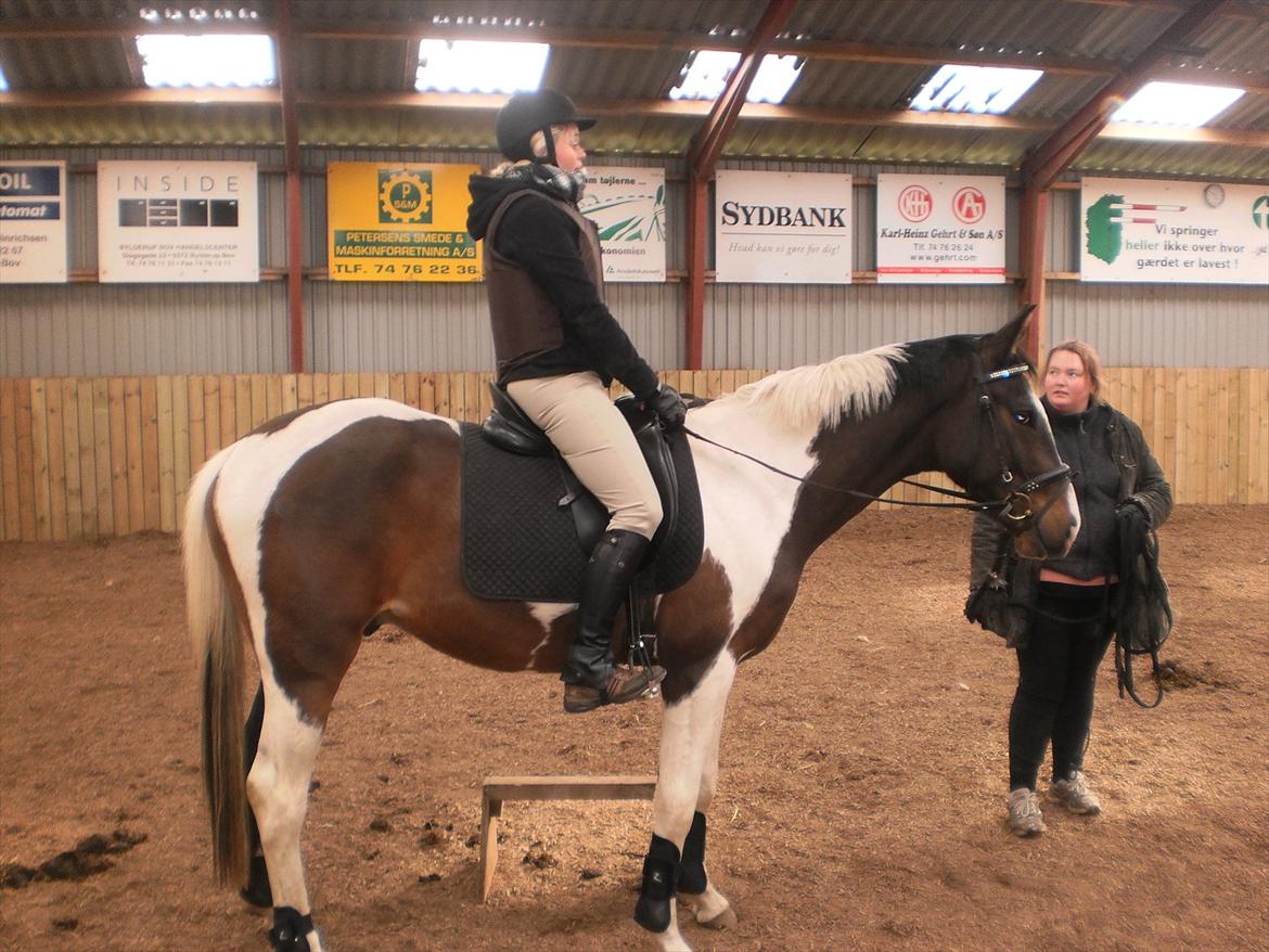 Pinto Milton billede 19