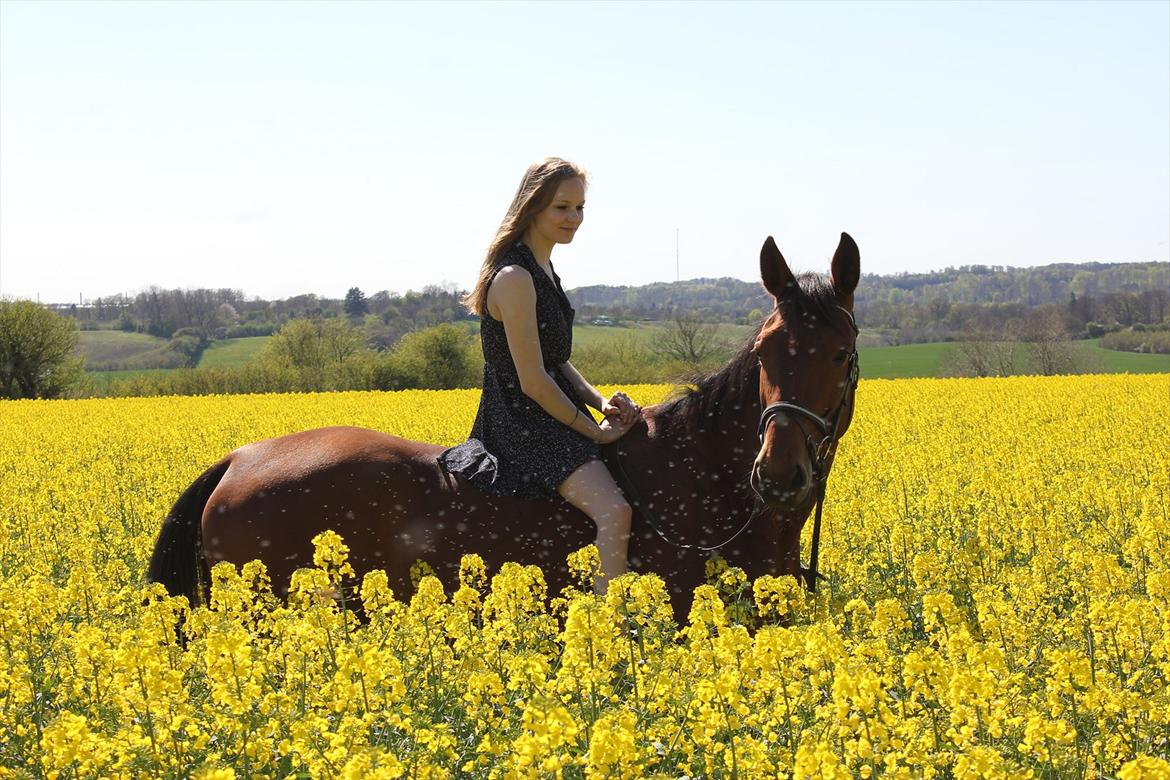 Traver Jelly Bean - Smuk forårsdag!  billede 1