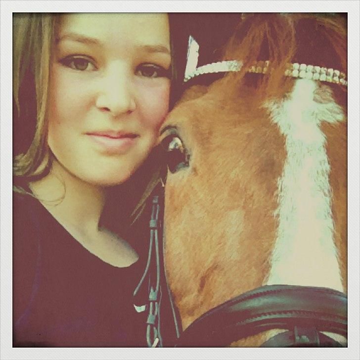 Irsk Sportspony Jim's Flight - A pony - smukke Flight og mig efter en hård trænning, i det dejlige vejr! billede 19