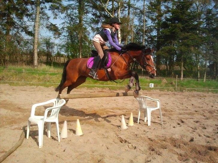 Anden særlig race Clarikken - 85 cm.<3 billede 17