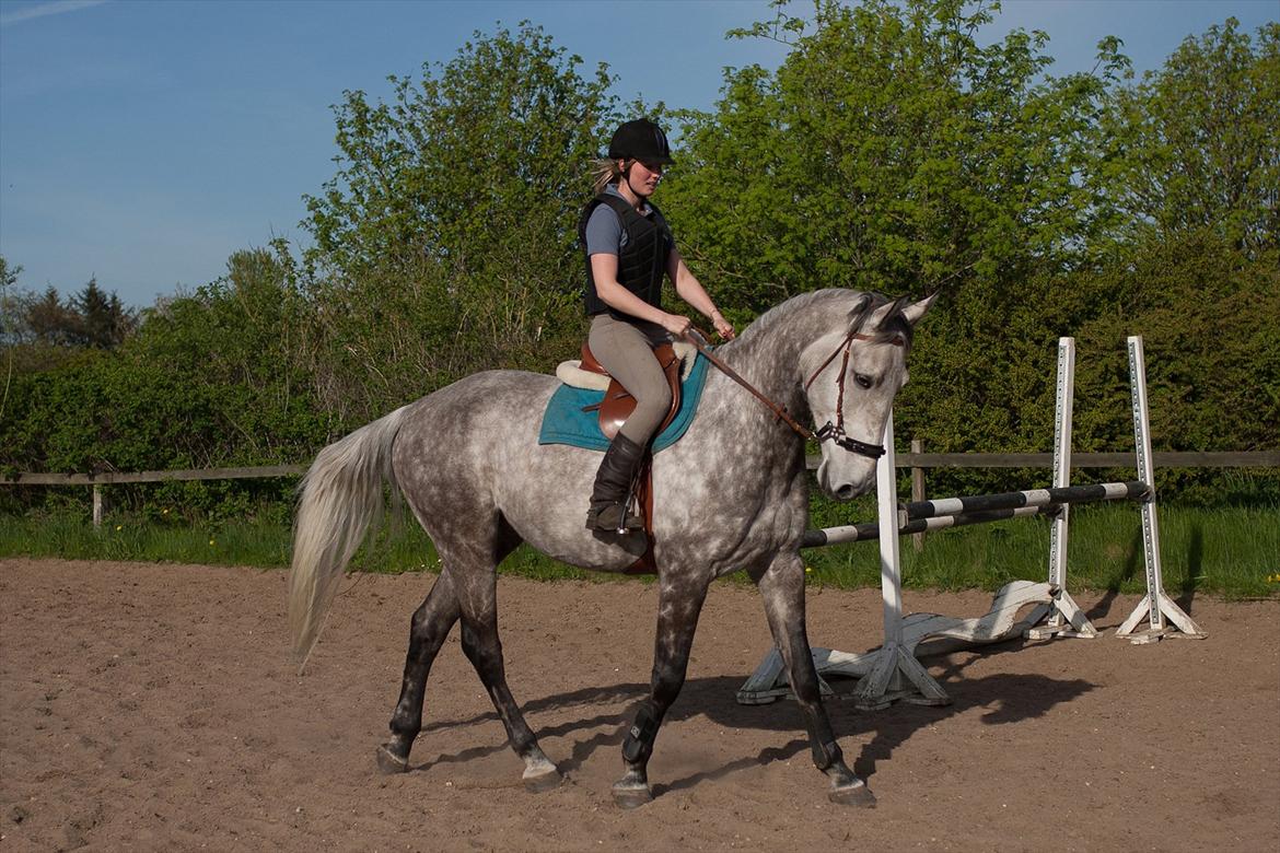 Anden særlig race <3 Domingo <3 billede 3