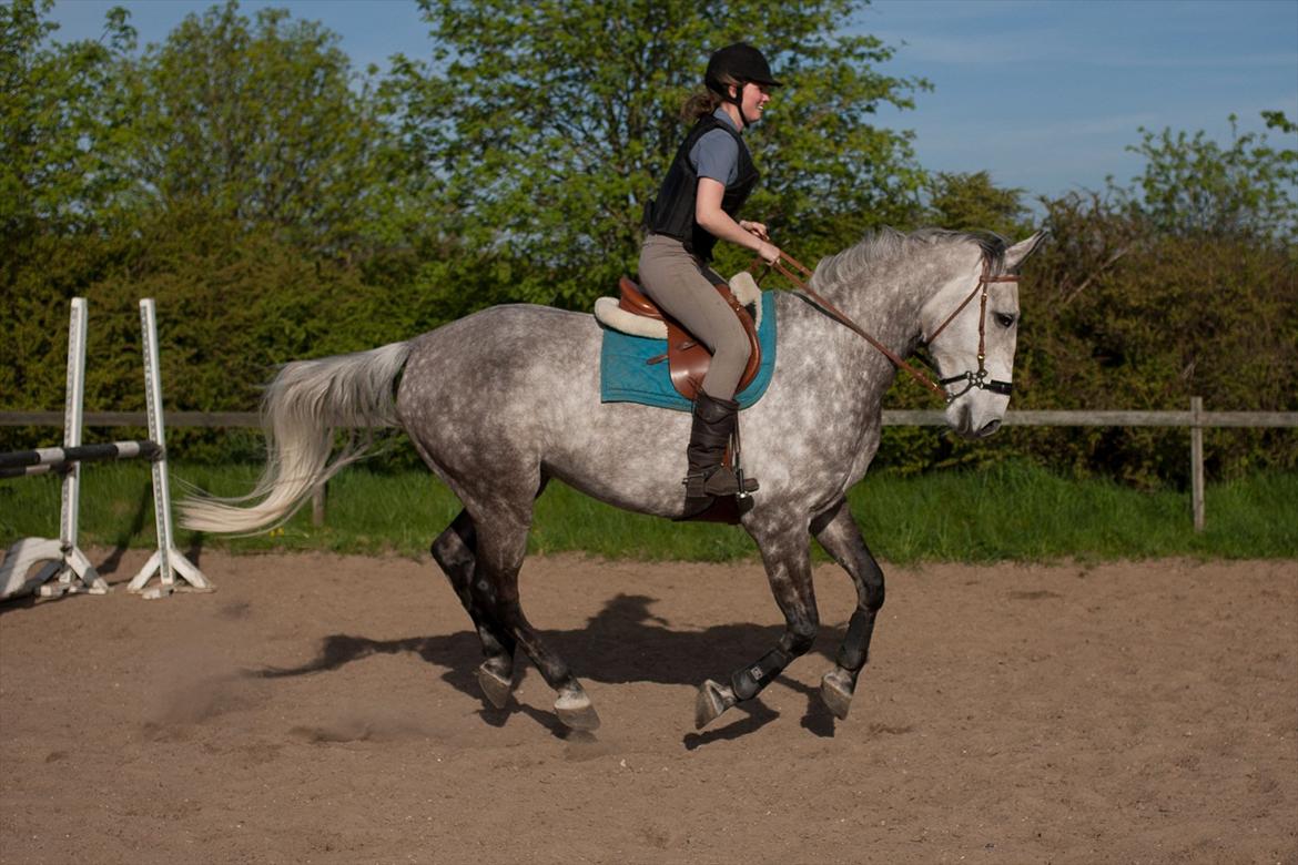 Anden særlig race <3 Domingo <3 billede 2