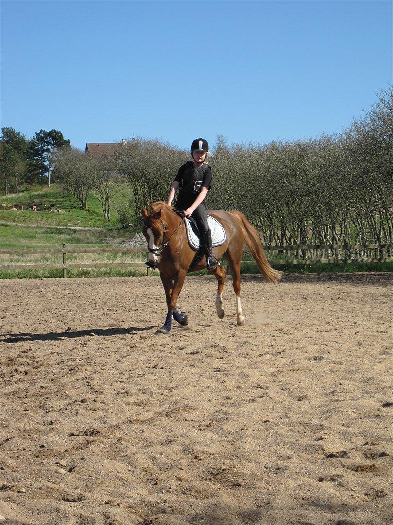 Anden særlig race Mon Cheri<3 - Monse min dreng<3
for første gang jeg så dig viste jeg det skulle være dig og mig for ALTID! elsker dig<3<3<3!:D billede 9