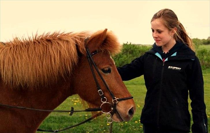 Islænder Embla fra Hessellund  - Embla og jeg på besøg hos Brigitte :-)
Foråret 2010. billede 12