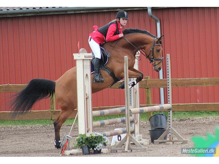 {{currentPhoto.altText}} billede {{currentPhoto.number}}