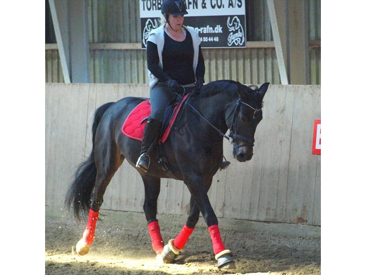 {{currentPhoto.altText}} billede {{currentPhoto.number}}