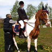 Anden særlig race Kærsgårdens Aisha *solgt*