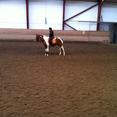 Anden særlig race Yasmin