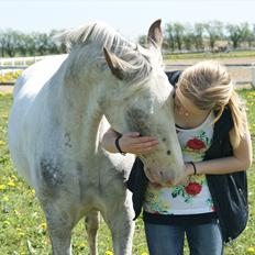 Appaloosa Rachene's Mannie