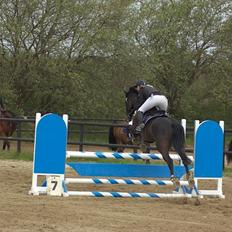 Holstener Prior's Hubert *ENGEL* <3 R.I.P 04-10-2012