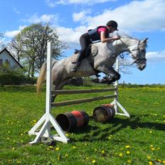 DSP Vasegaards Shanti