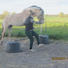 Anden særlig race Ronja