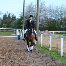 Arabisk fuldblod (OX) AC Jehmira