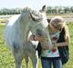 Appaloosa Rachene's Mannie