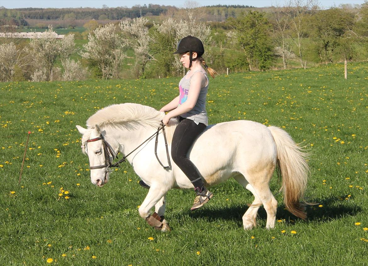 Anden særlig race PIPPI.. Sov sødt prinsesse billede 9