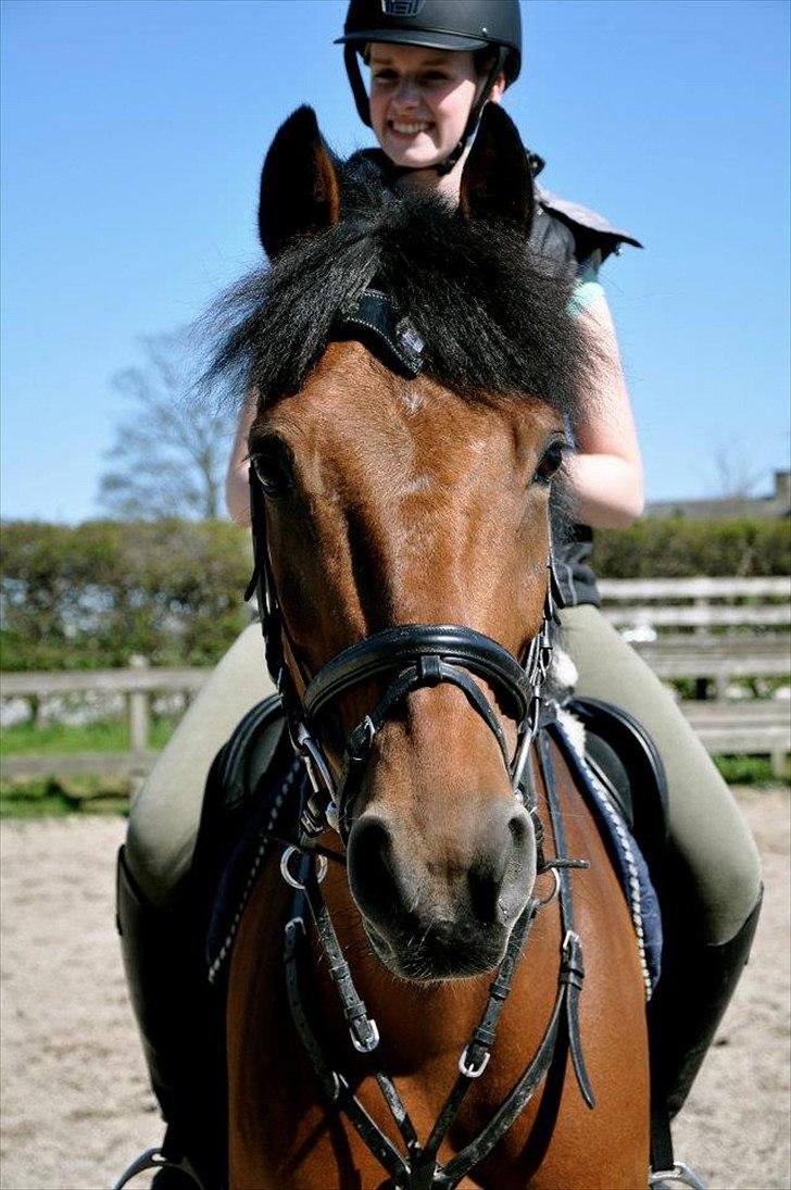 Anden særlig race Michelangelo - MisseKat <3 billede 8