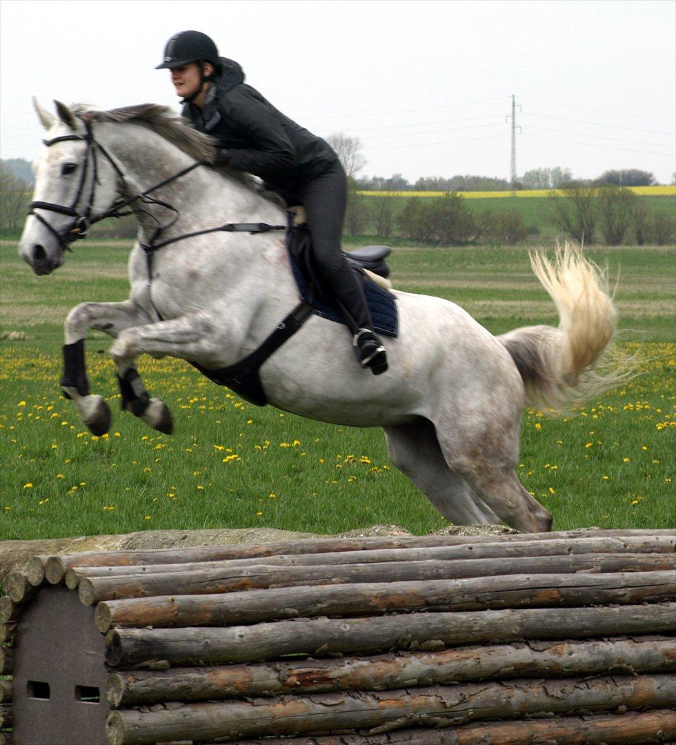 Anden særlig race Grey Girl - D. 4/5-12: Grås første tur i terrænet, her over et af hendes aller første spring nogensinde :D Hun var så cool, sprang det hele i første forsøg, fik ingen stop og gik direkte i vandgraven! STJERNEEEEE!  billede 11