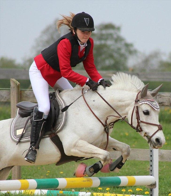 DSP Præstemarkens Mahogni |Honey| - LA* På HHR d. 4/5 2012 :D
|Foto: Nanna Hjort`| billede 18